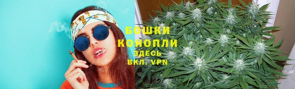 spice Вязники