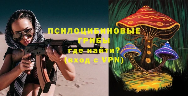 spice Вязники