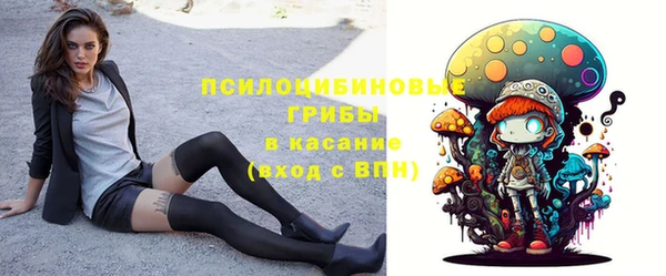 spice Вязники