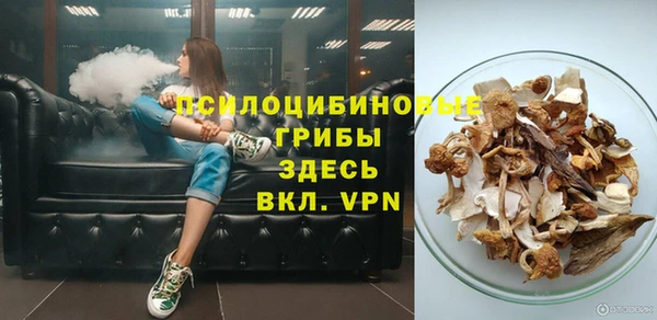 spice Вязники