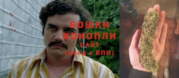 spice Вязники