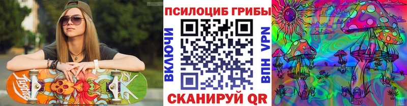 Купить закладки  Мосальск  Галлюциногенные грибы MAGIC MUSHROOMS 